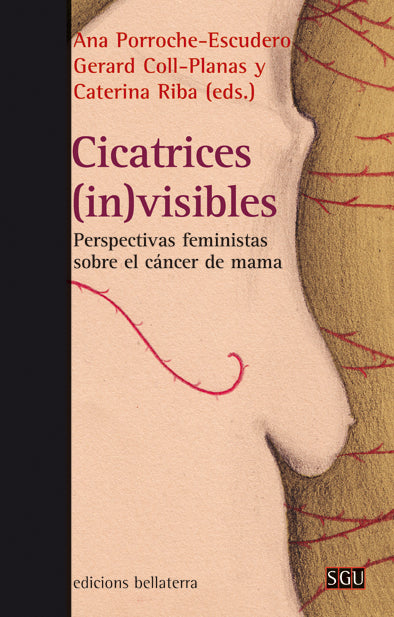 Cicatrices invicibles